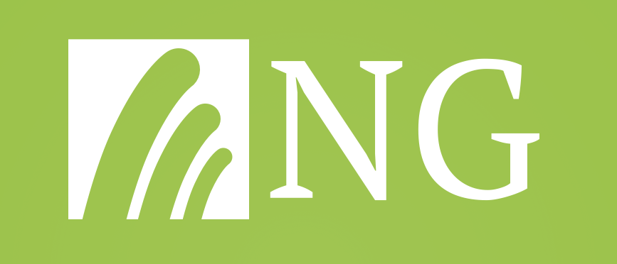 NG SOFT TECHNOLOGIES